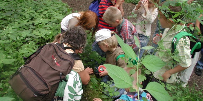 Auenzwerge auf Entdeckertour im Wald