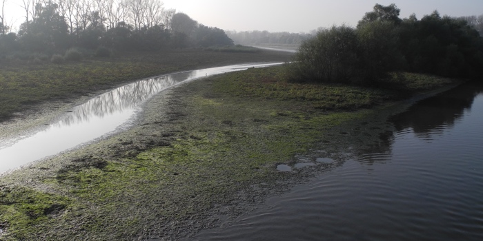 Delta de la Sauer (Elsass)