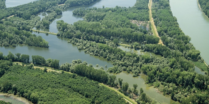 Rheinauen bei Leopoldshafen