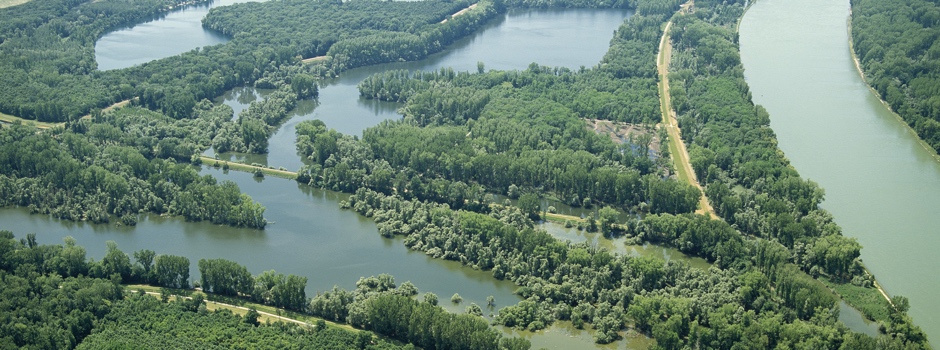 Rheinauen bei Leopoldshafen aus der Luft