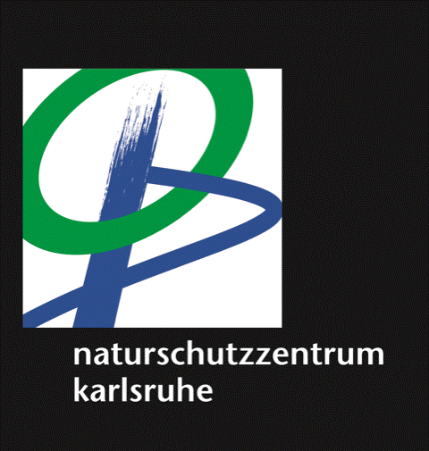 logo site